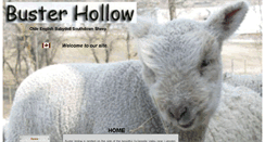 Desktop Screenshot of busterhollow.com