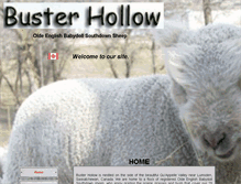 Tablet Screenshot of busterhollow.com